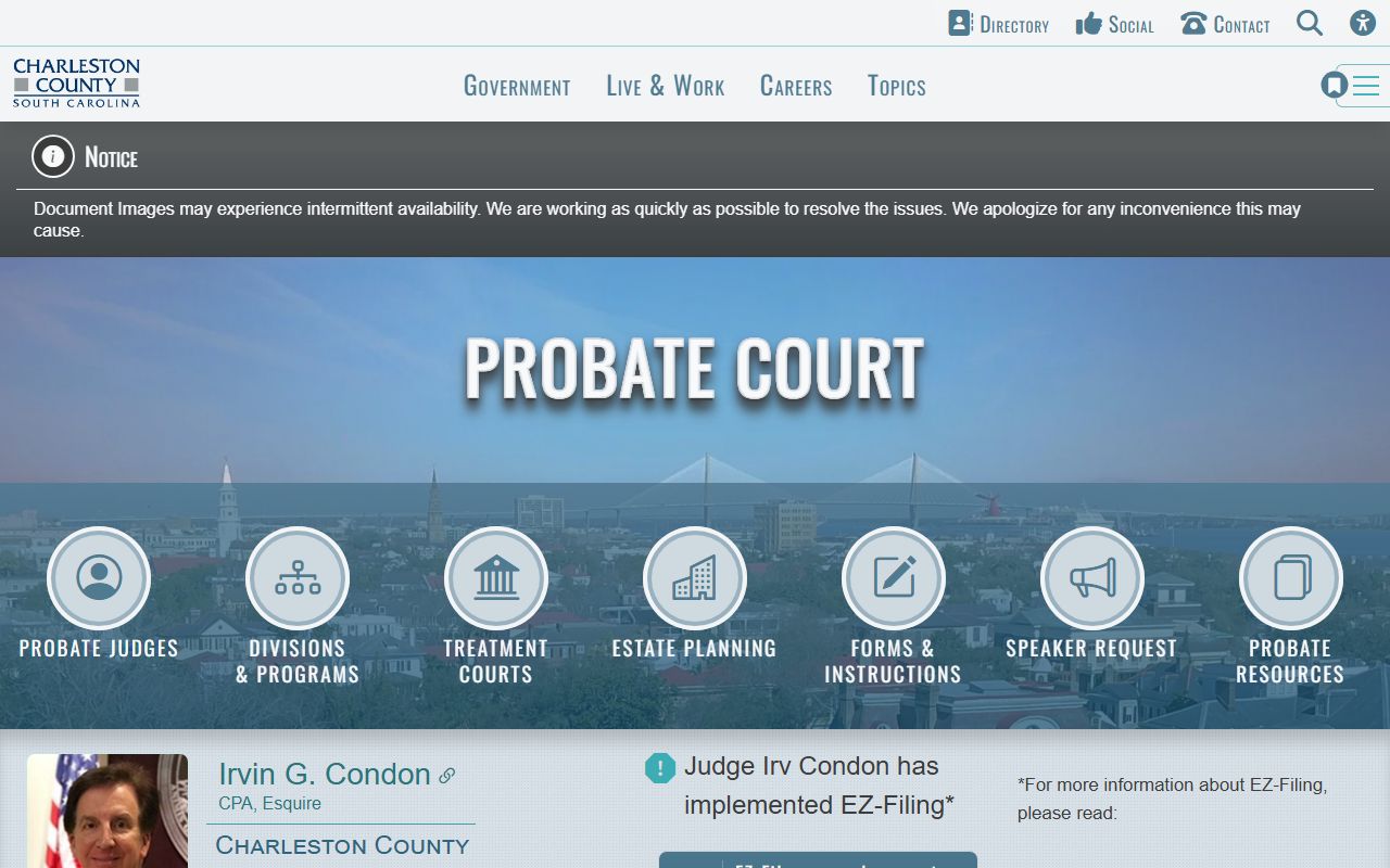 Charleston County Probate Court marriage license application page showing online LOVE system details